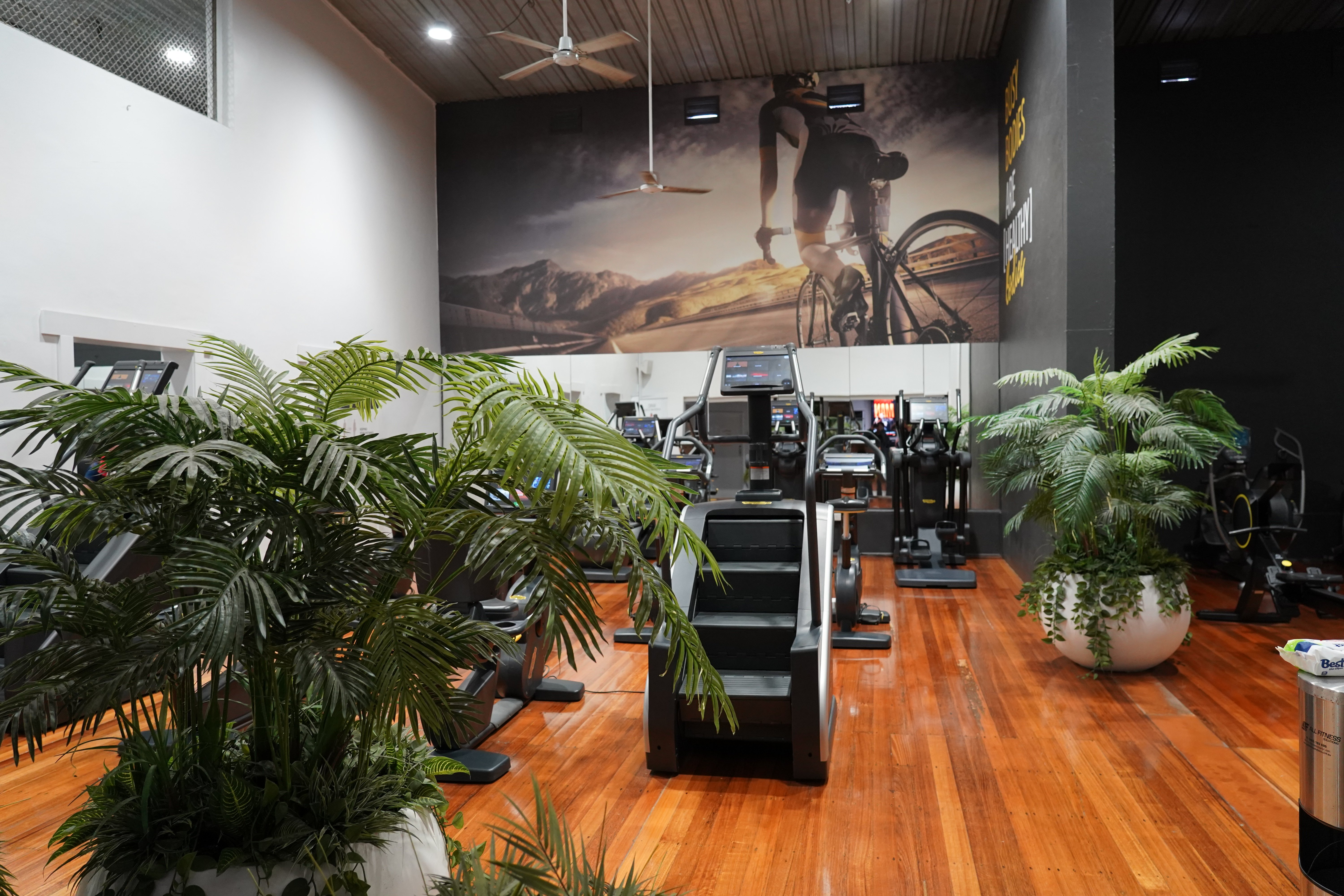 gallery